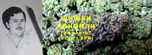 каннабис Белокуриха