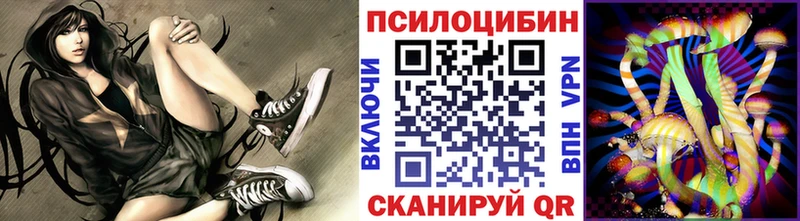 магазин продажи наркотиков  Кораблино  Галлюциногенные грибы прущие грибы 